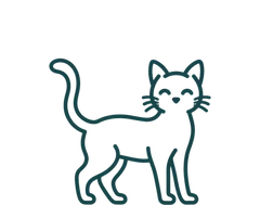 Ilustración de gato
