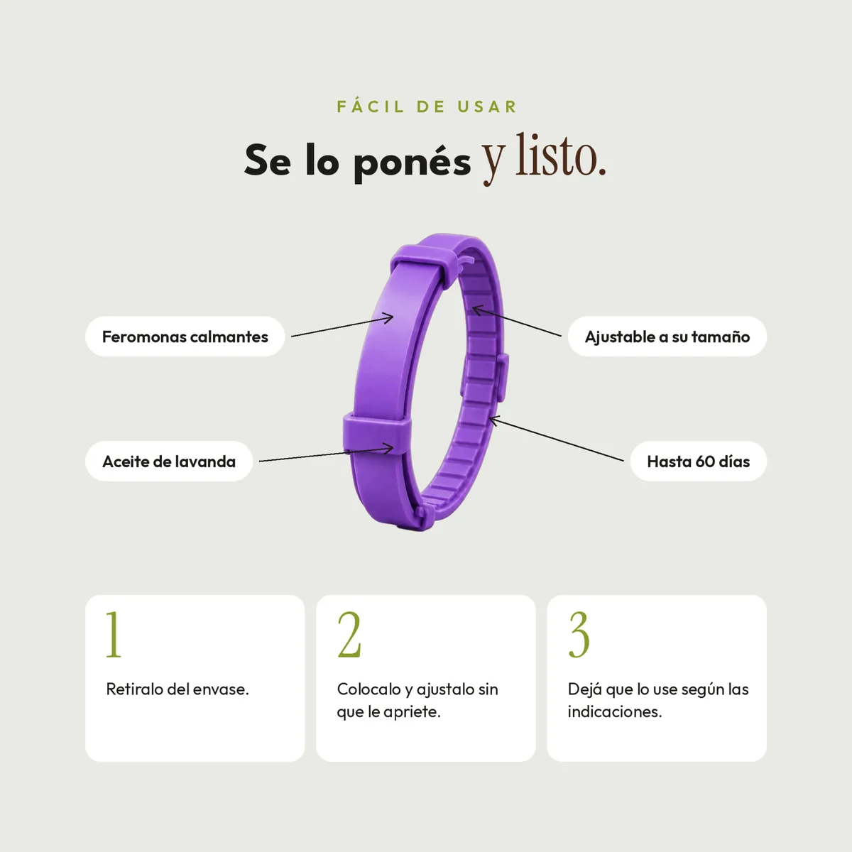 Collar calmante violeta con su instructivo de uso en tres pasos