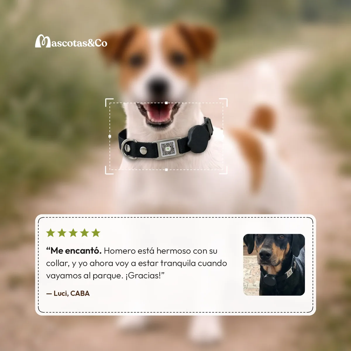 Perro con el collar negro en un sendero, junto a una reseña de 5 estrellas